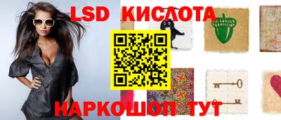 прущие грибы Кингисепп