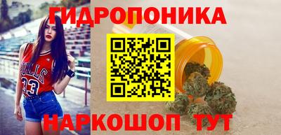 прущие грибы Кингисепп