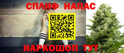 прущие грибы Кингисепп