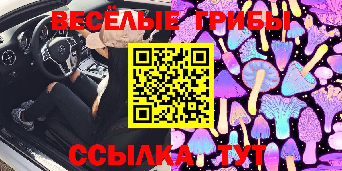 Галлюциногенные грибы Cubensis Людиново